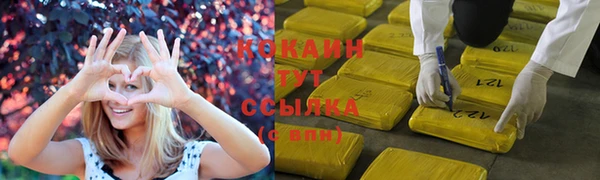 шишки Армянск