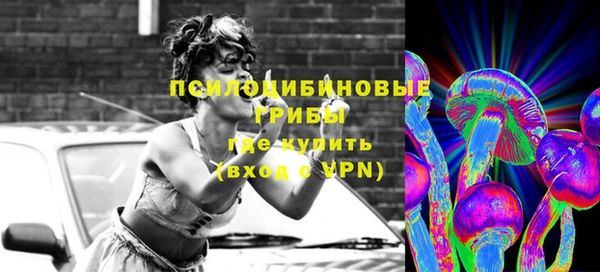 шишки Армянск