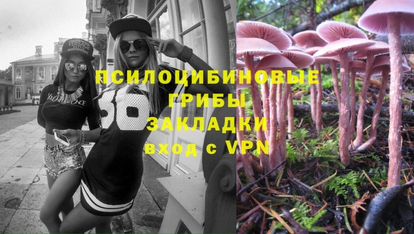 шишки Армянск