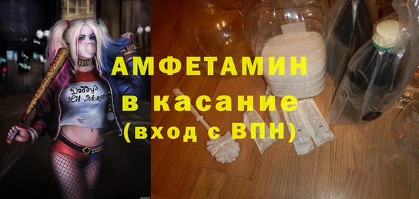 шишки Армянск