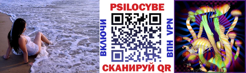 Псилоцибиновые грибы прущие грибы  shop состав  Мещовск  купить  сайты 